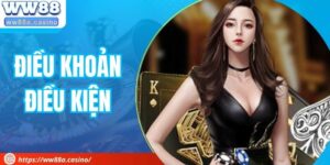 Điều Khoản Điều Kiện - Các Quy Định Quan Trọng Cần Nắm