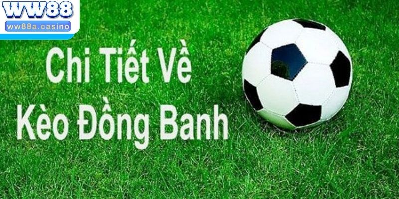 Nghiên cứu trận đấu kèo chấp đồng banh