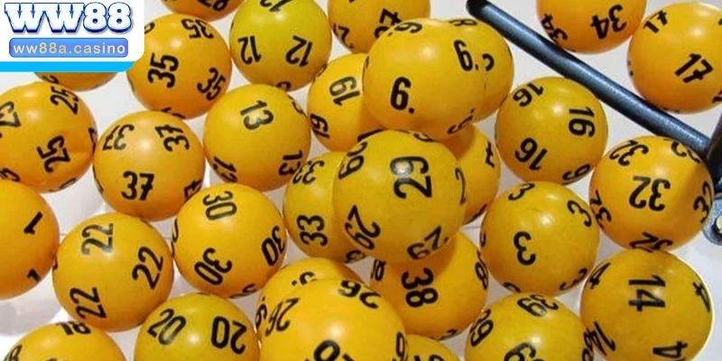 Thông tin cơ bản về ghép dàn bộ cá cược
