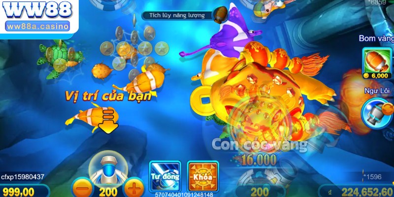 Thử sức cùng siêu phẩm Bombing Fishing